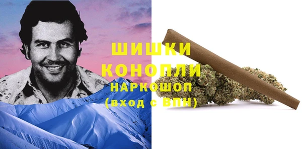 ПСИЛОЦИБИНОВЫЕ ГРИБЫ Алексеевка