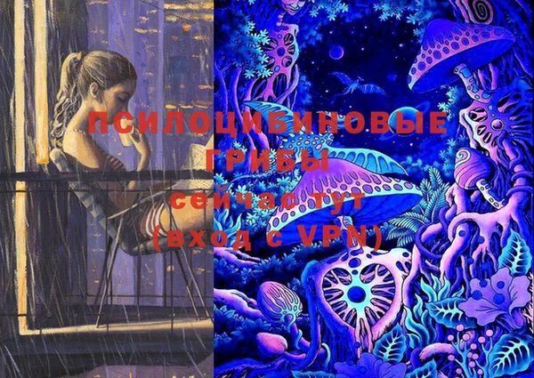 шишки Алексин