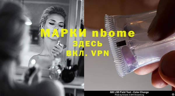 крисы Алзамай