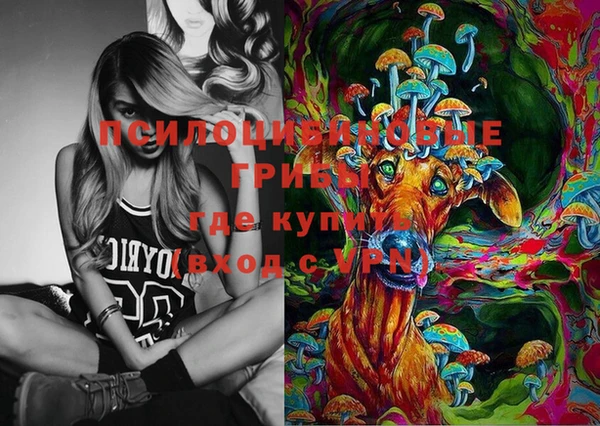 шишки Алексин
