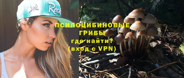 ПСИЛОЦИБИНОВЫЕ ГРИБЫ Алексеевка
