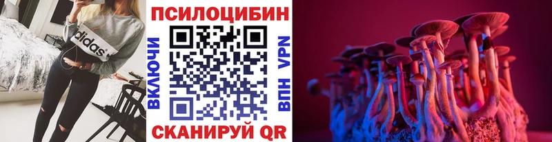 Купить где  Белогорск  Псилоцибиновые грибы Psilocybine cubensis 